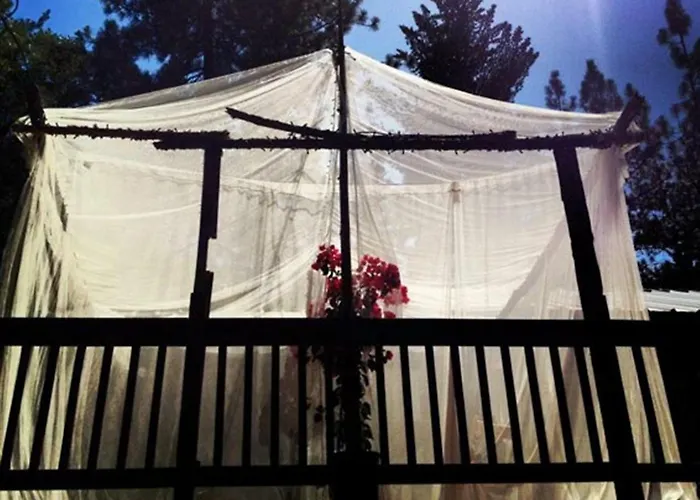 The Red Rooster Lodge