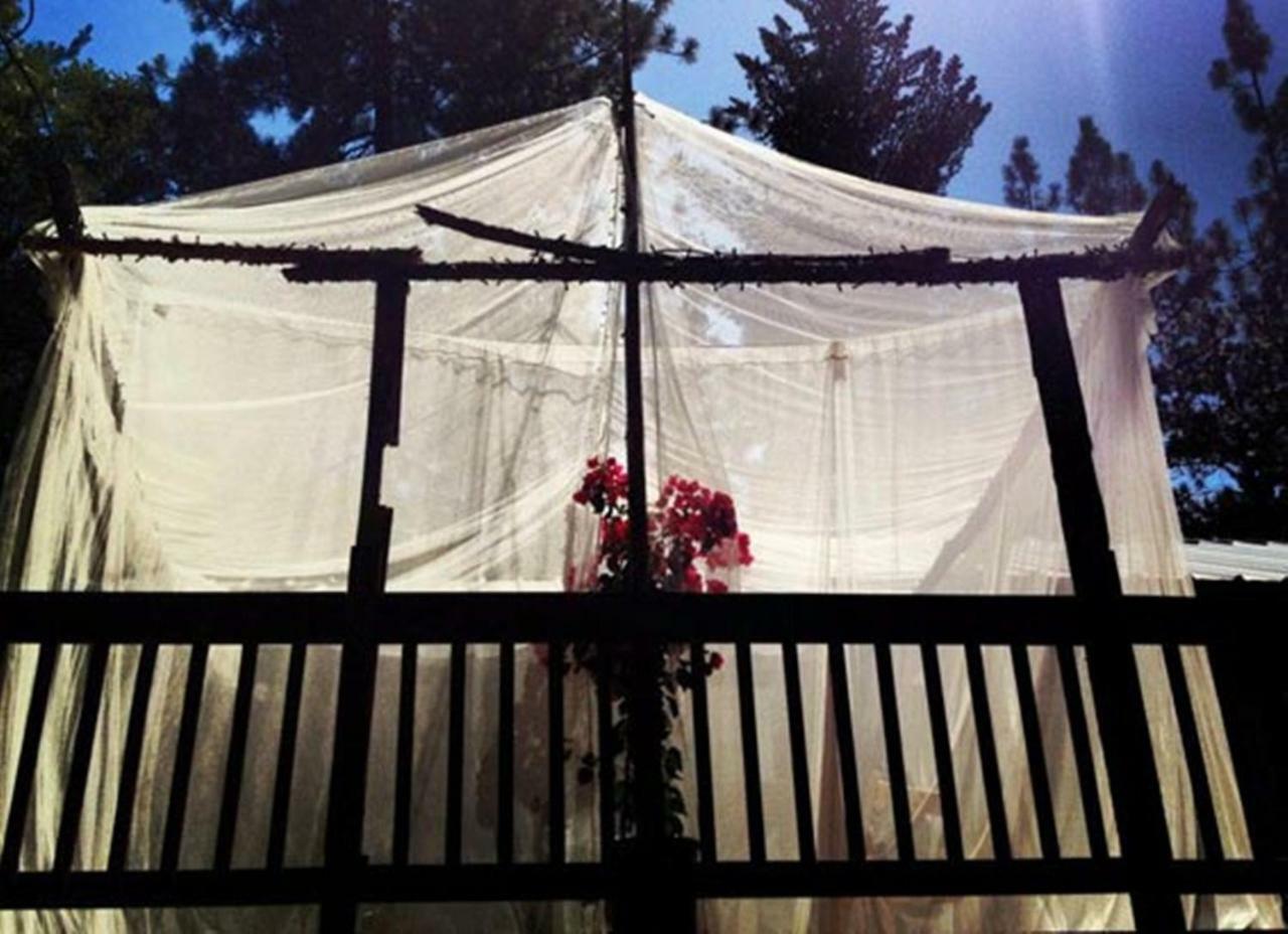 Bed & Breakfast The Red Rooster